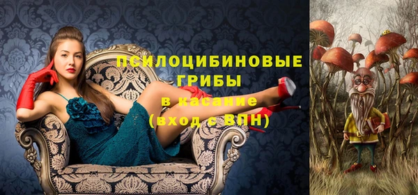 MDMA Premium VHQ Краснослободск