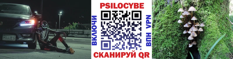 Псилоцибиновые грибы Cubensis  МЕГА маркетплейс  Приморско-Ахтарск 