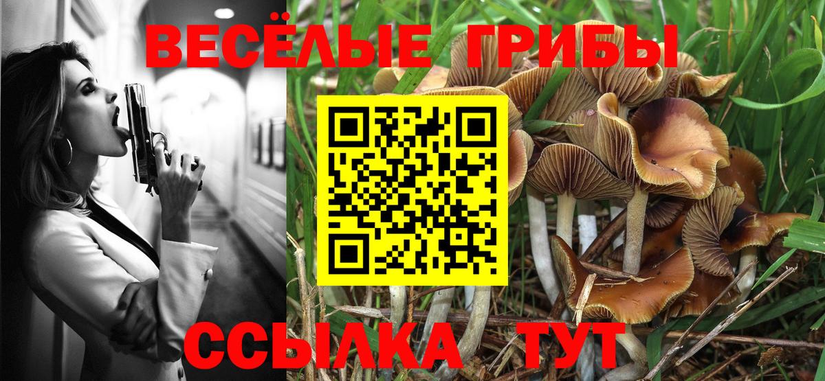 Галлюциногенные грибы Приморско-Ахтарск