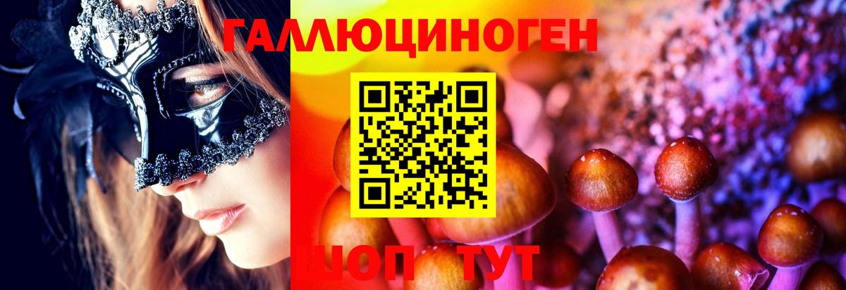 Псилоцибиновые грибы мухоморы  Вход с VPN  Приморско-Ахтарск 