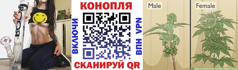 сайты даркнета формула  Приморско-Ахтарск  Бошки Шишки гибрид 